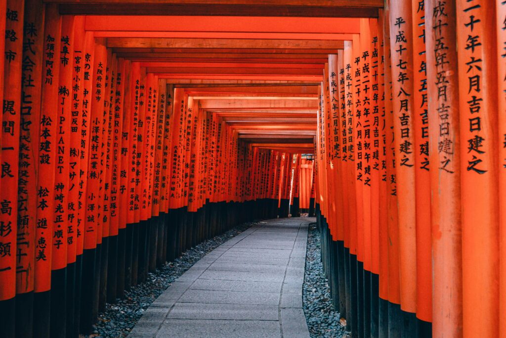lin mei nyycqdbokwc unsplash