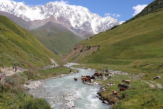 sevdamujgan-nature-3682527_640